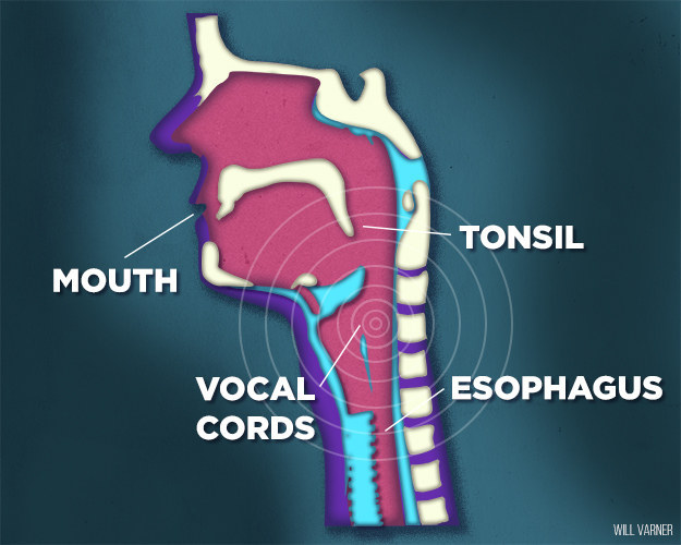  Vị trí của âm thanh được phát ra 